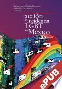 Acción colectiva e incidencia LGBT en México