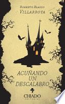 Libro Acuñando un Descalabro