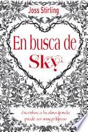 Libro Almas gemelas, 1. En busca de Sky