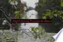 Libro Ángel Acosta Poemas de ábaco.