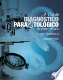 Libro Atlas de diagnóstico parasitológico del perro y el gato. Volumen I: endoparásitos