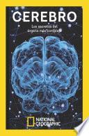 Libro Cerebro