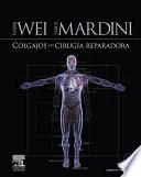 Libro Colgajos en cirugía reparadora + acceso web