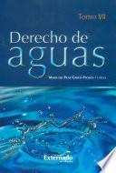 Libro Derecho de Aguas Tomo VII