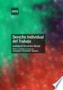 Libro DERECHO INDIVIDUAL DEL TRABAJO