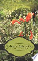 Libro El Amor Y Poder De Dios