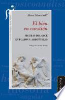 El bien en cuestión