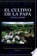 El cultivo de la papa en Ecuador