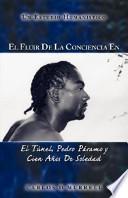 Libro El Fluir de la Conciencia en el Túnel, Pedro Páramo y Cien Años de Soledad