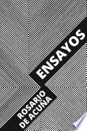 Libro Ensayos