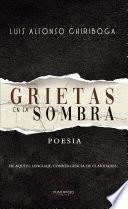 Libro Grietas en la sombra