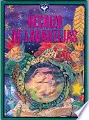 Libro Hechizo de Lagartijas