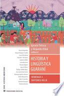 Libro Historia y lingüística guaraní. Homenaje a Bartomeu Melià