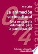 La animación sociocultural