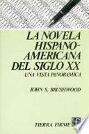 La novela hispanoamericana del siglo XX