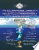 Libro Los 82 Mensajes Neurolinguisticos Kabalisticos Secretos del Alfabeto Arameo, Espanol, Griego, Hebreo y Latin. de Superacion Espiritual y Personal. Pre