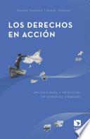 Libro Los derechos en acción: Obligaciones y principios de derechos humanos