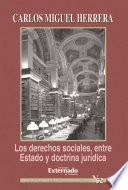 Los derechos sociales entre estado y doctrina jurídica
