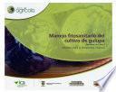 Libro Manejo fitosanitario del cultivo de gulupa (Passiflora edulis Sims.): Medidas para la temporada invernal