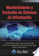 Mantenimiento y Evolución de Sistemas de información