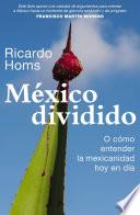 Libro México dividido