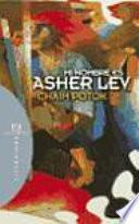 Libro Mi nombre es Asher Lev