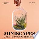 Miniscapes