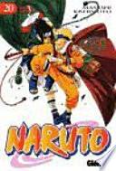 Libro Naruto 20