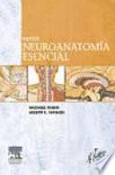 Netter. Neuroanatomía esencial