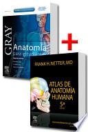 Libro Pack Anatomía: Drake + Netter (versión ebook)