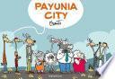 Payunia city