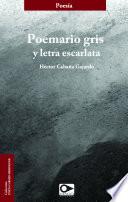 Libro Poemario gris y letra escarlata