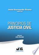 Principios de Justicia Civil