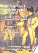 Libro Principios del proceso penal europeo: análisis de la convención Europea de Derechos Humanos