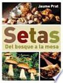Setas: del bosque a la mesa