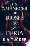 Libro Un amanecer de dioses y furia