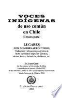 Voces indígenas de uso común en Chile